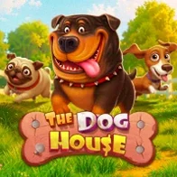 The Dog House The Dog House